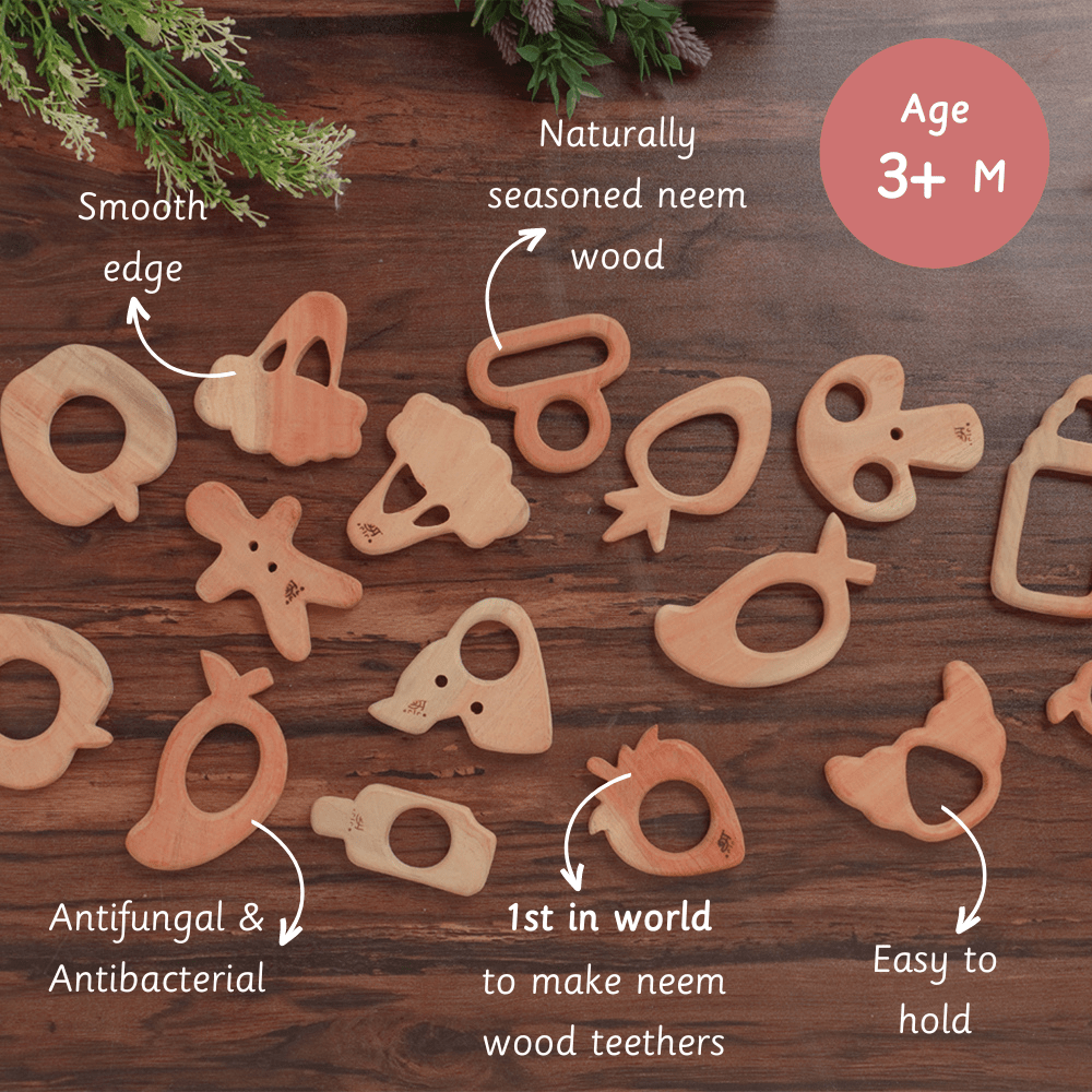 Ariro Toys Wooden Interlocking Discs - ART020