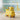Happy Bear Rider Push Car for Kids 1-5Years