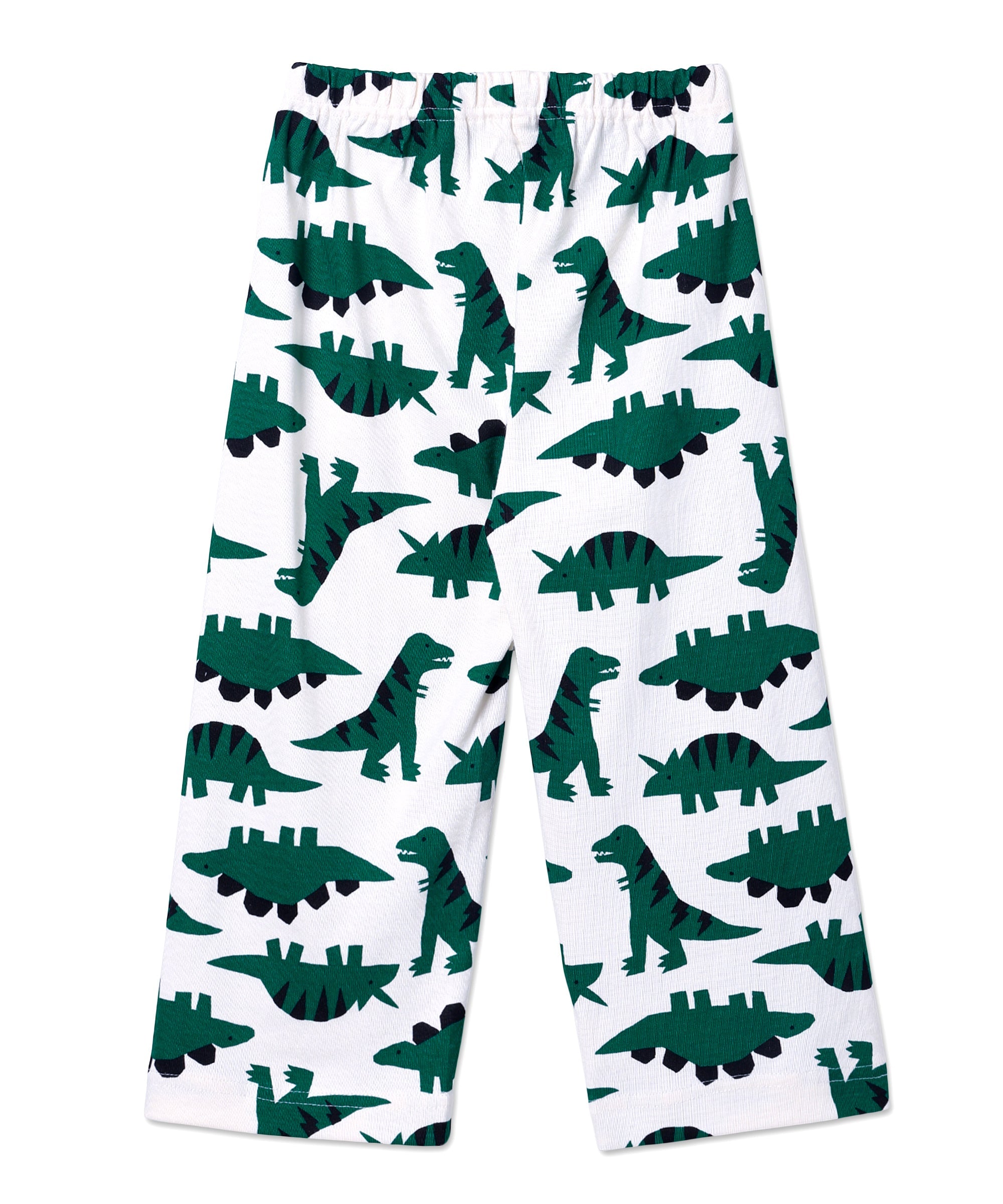 Front view of The Mom Store Dreamasaurus pajama pants featuring all-over dinosaur print and elastic waistband.