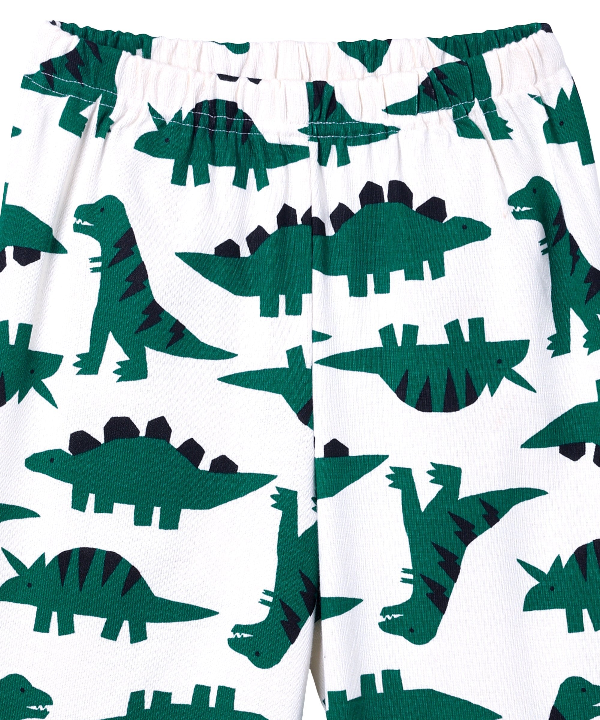 Front view of The Mom Store Dreamasaurus pajama pants featuring all-over dinosaur print and elastic waistband.