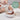 b.box Silicone Bowl + Lid with Suction Base Blush Pink - 101711