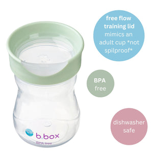b.box Training Cup 240ml Sage Green - 201010