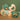 b.box Trio Teether Sage Green - 100210
