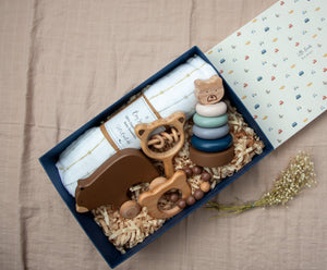 Bear Newborn Gift Box - Set of 5 - BBNX0503