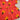 Bhaakur Organic Cotton Frock Infants And Toddlers Marigold Pink - FROCK - MARIGOLD - P - PRINT - 3 - 6M
