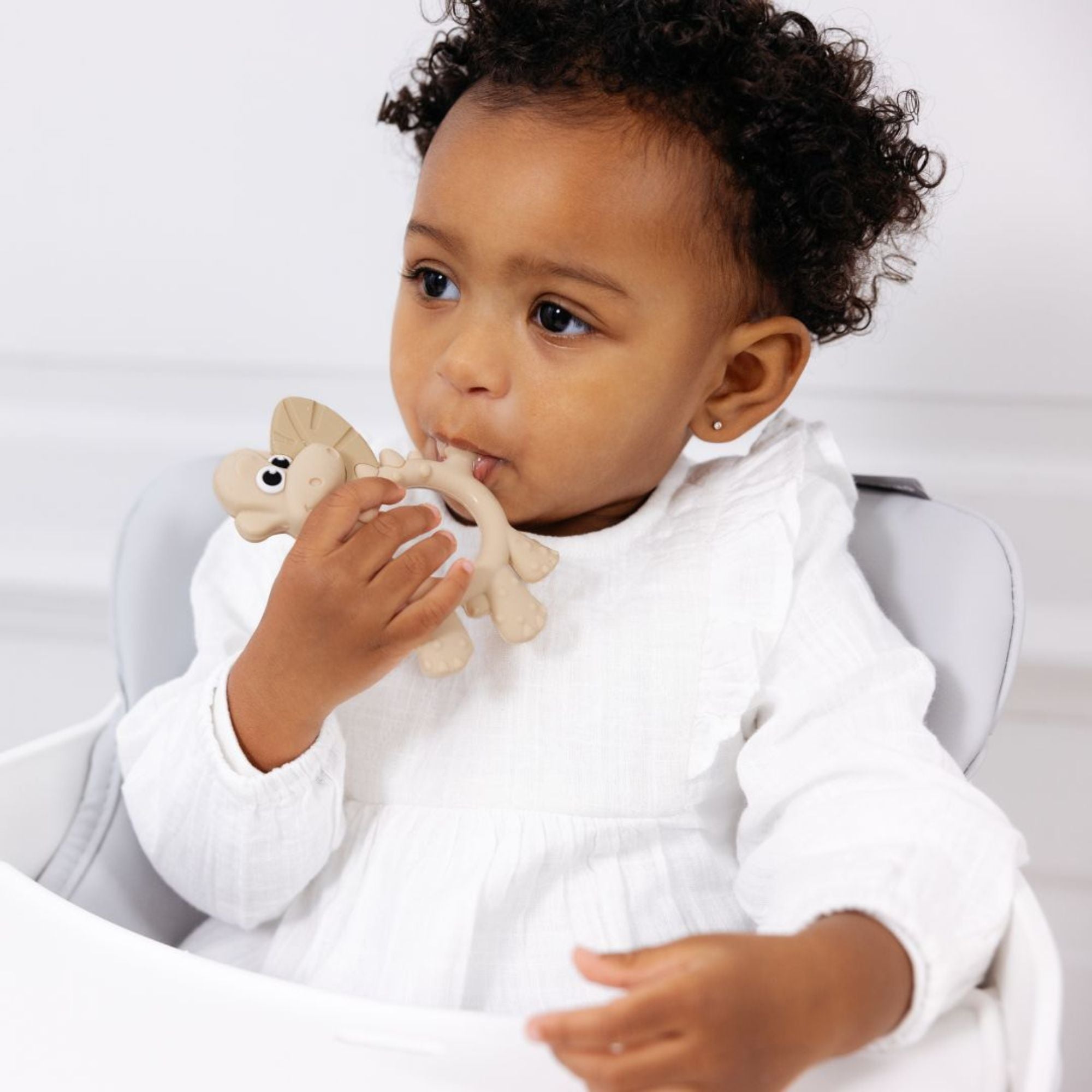 BiBaDo Dotty the Dinosaur - Silicone Multi Sensory Teether - Fawn - 3m+ - BIB402