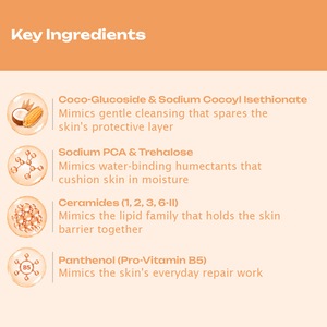 BioMimic Head to Toe Wash 400ml- Gentle Baby Body Wash for Hair and Skin - Baby Body Wash