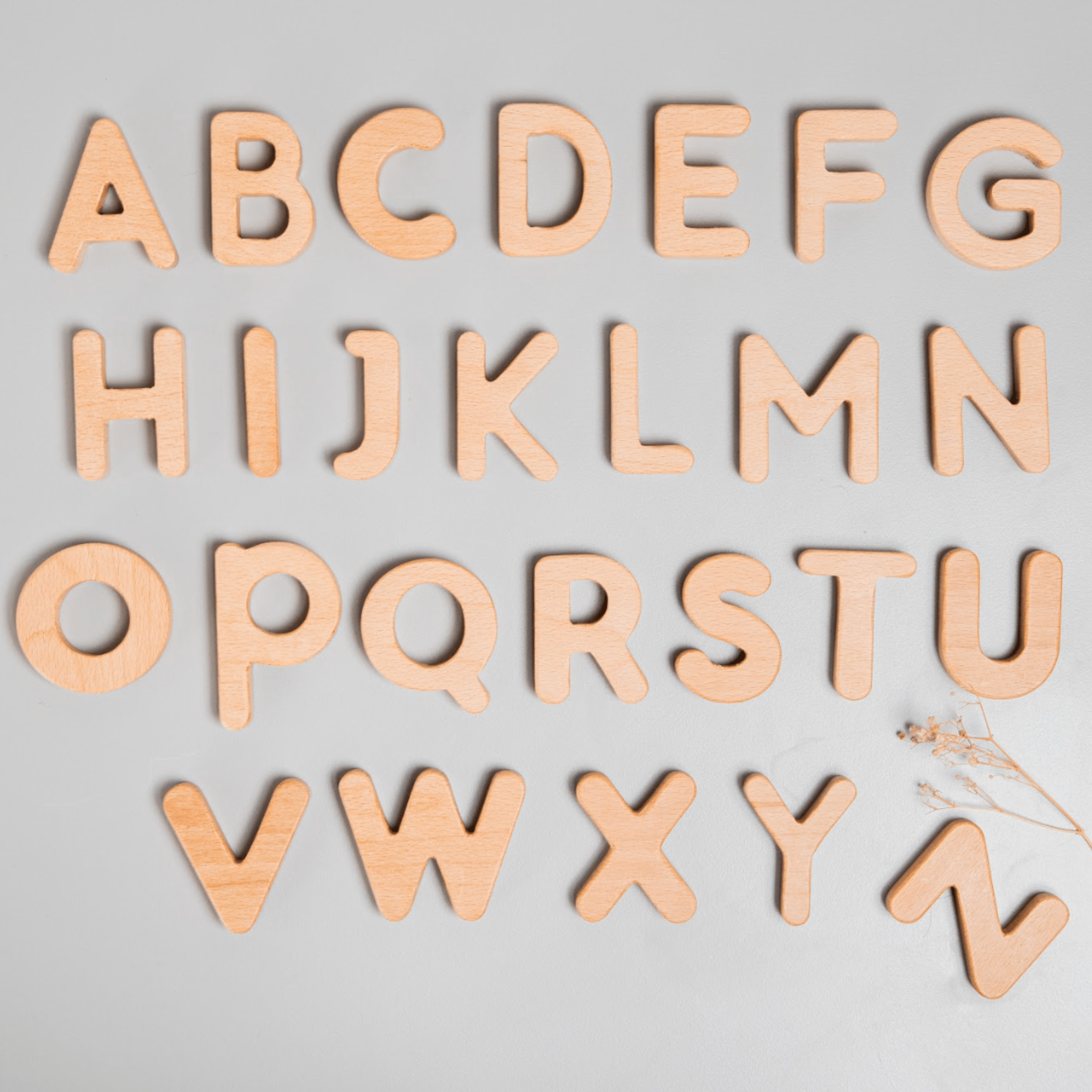 Birch & Bug Alphabet Letters Uppercase - BBUC2601