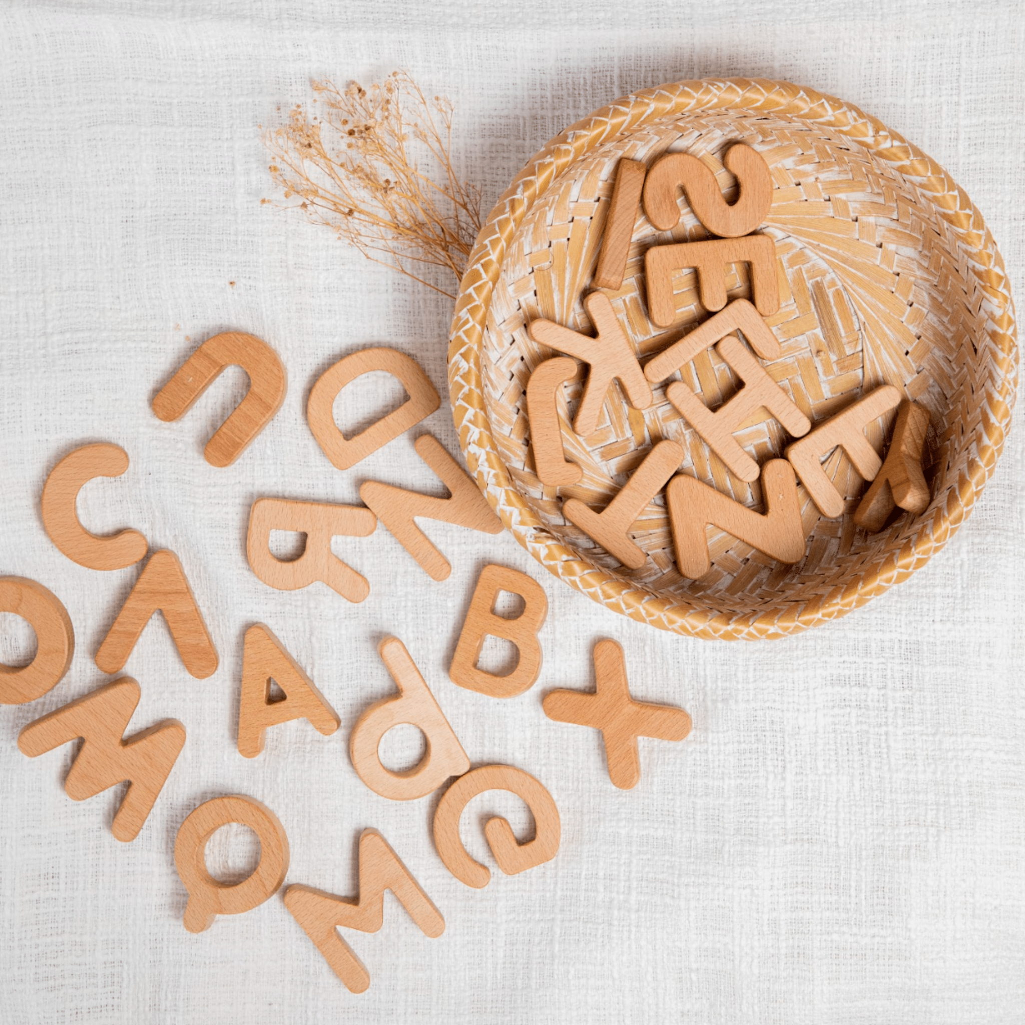 Birch & Bug Alphabet Letters Uppercase - BBUC2601