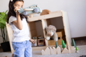 Birch & Bug Cloud - Chaser Airplane - Pretend & Play Toys