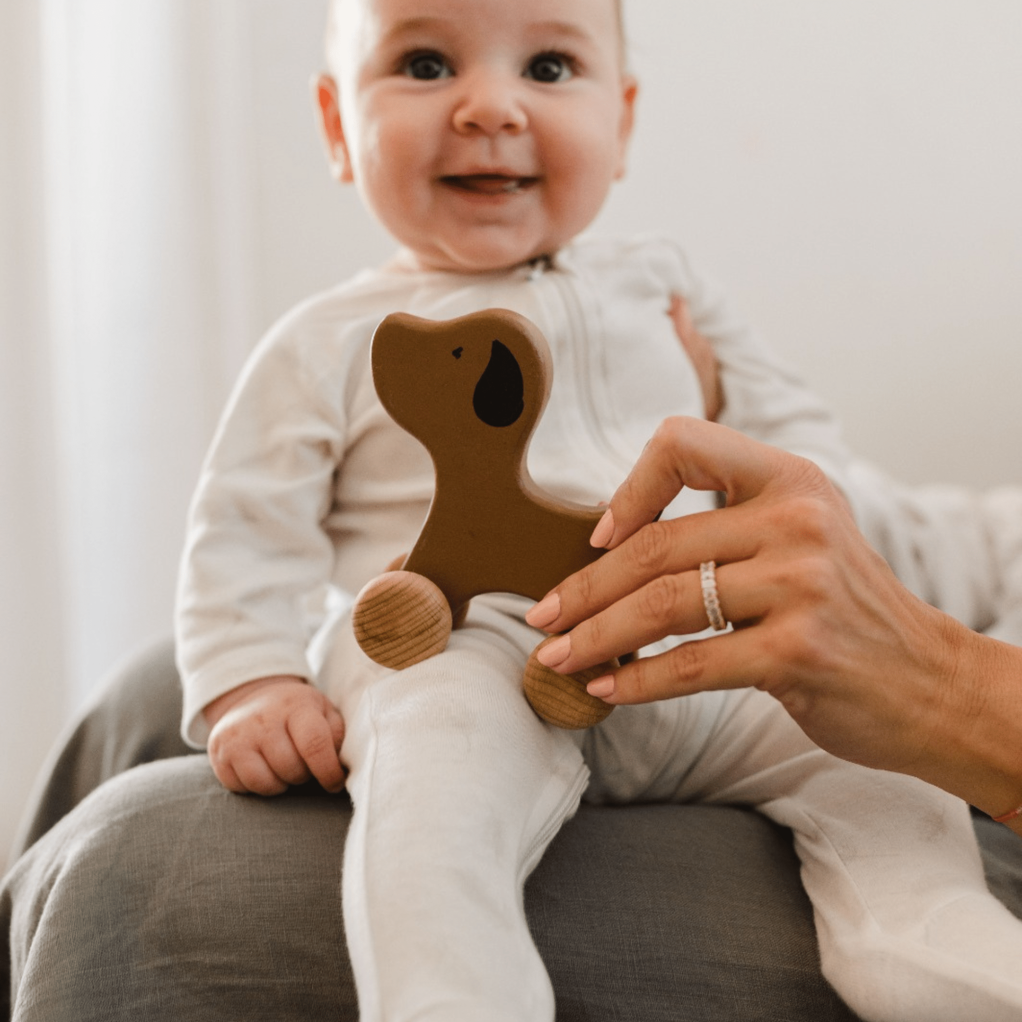 Birch & Bug Dog Roller Toy - BBRT0105