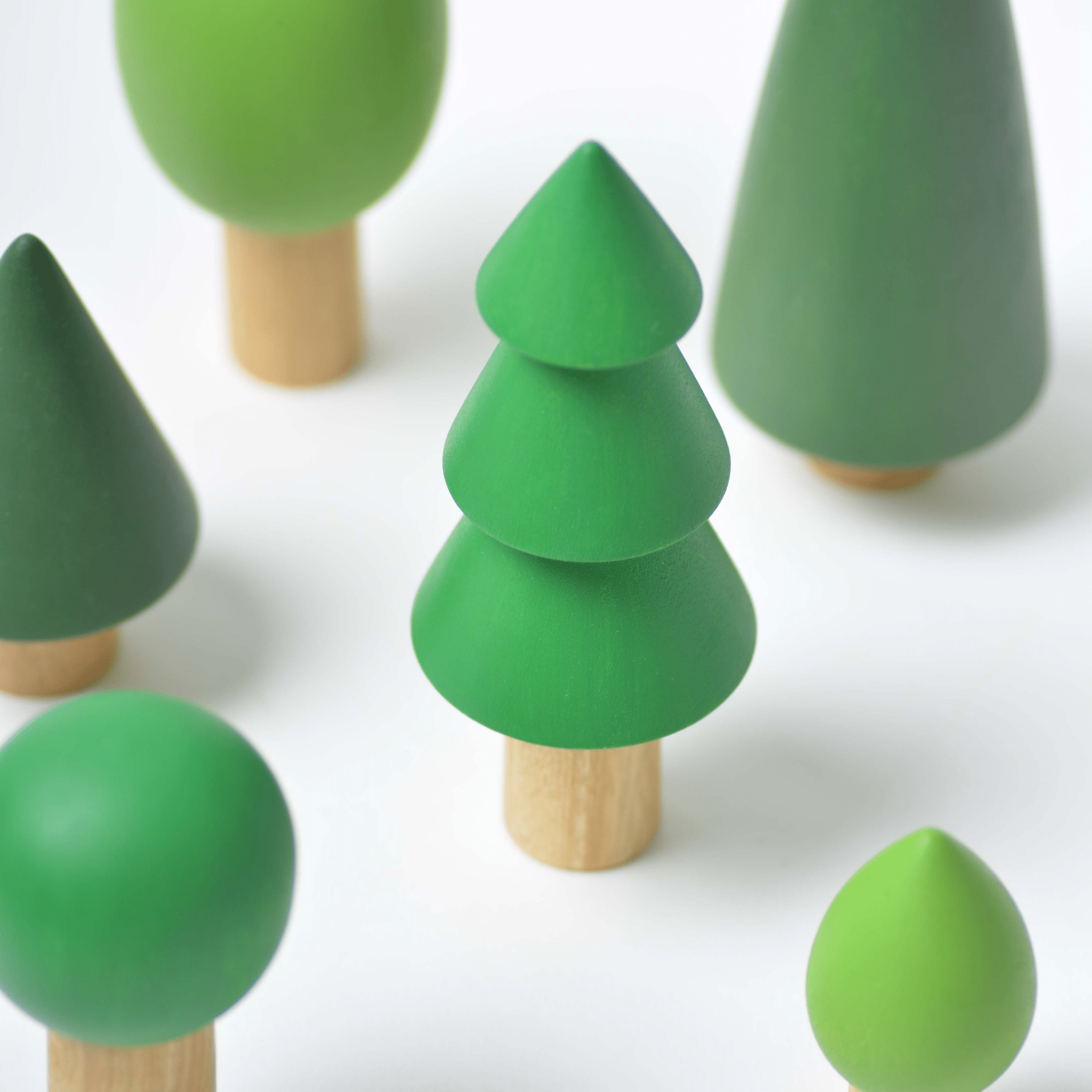 Birch & Bug Evergreen Forest Trees Set of 6 - BBET0601