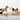 Birch & Bug Farm Animals Set of 6 Combo 1 - BBFA0601
