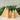 Birch & Bug Fir Trees Set of 2 - Wooden Toys