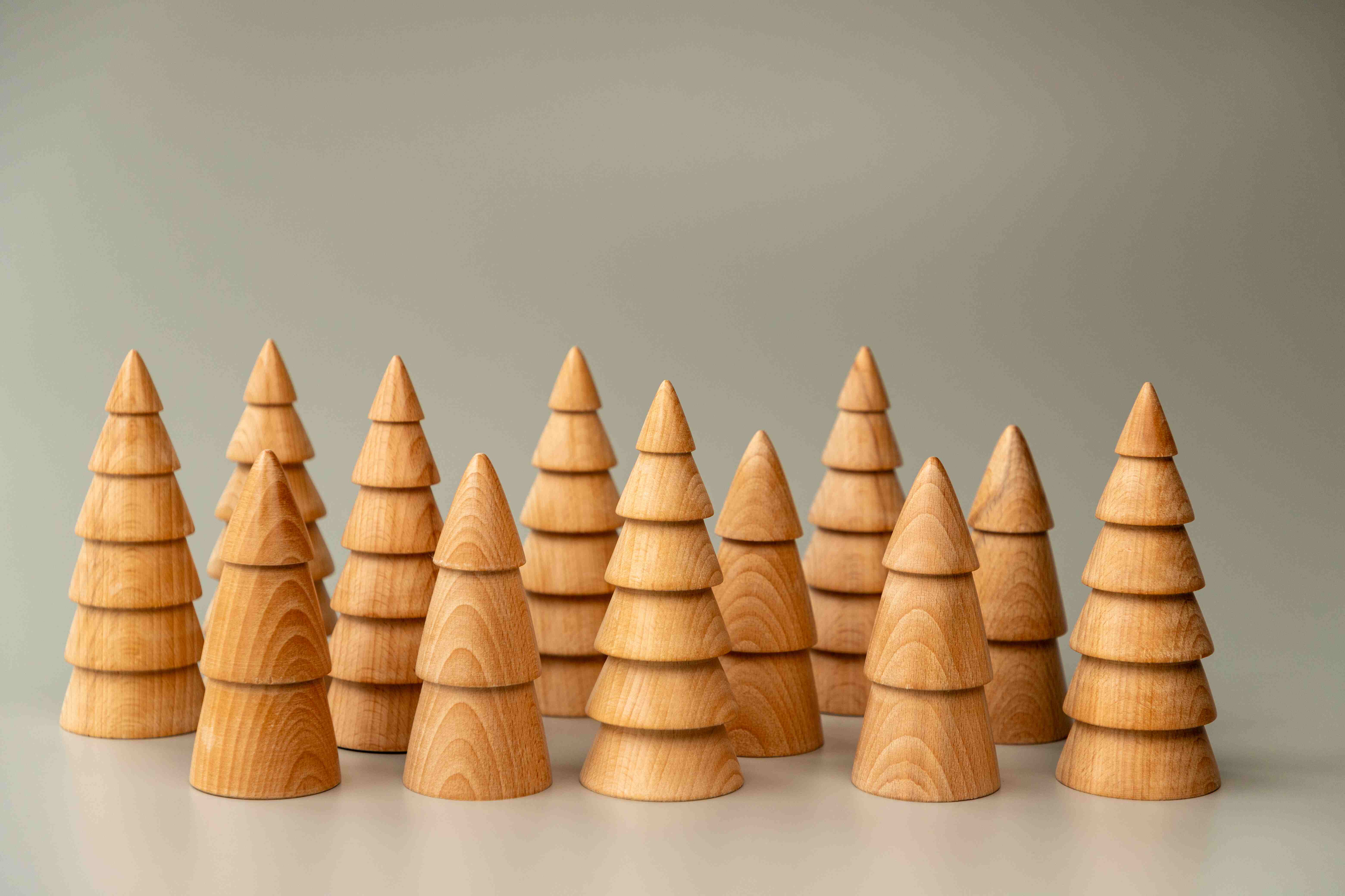 Birch & Bug Fir Trees Set of 2 - Wooden Toys