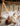 Birch & Bug Foldaway PlayGym - Play Gym