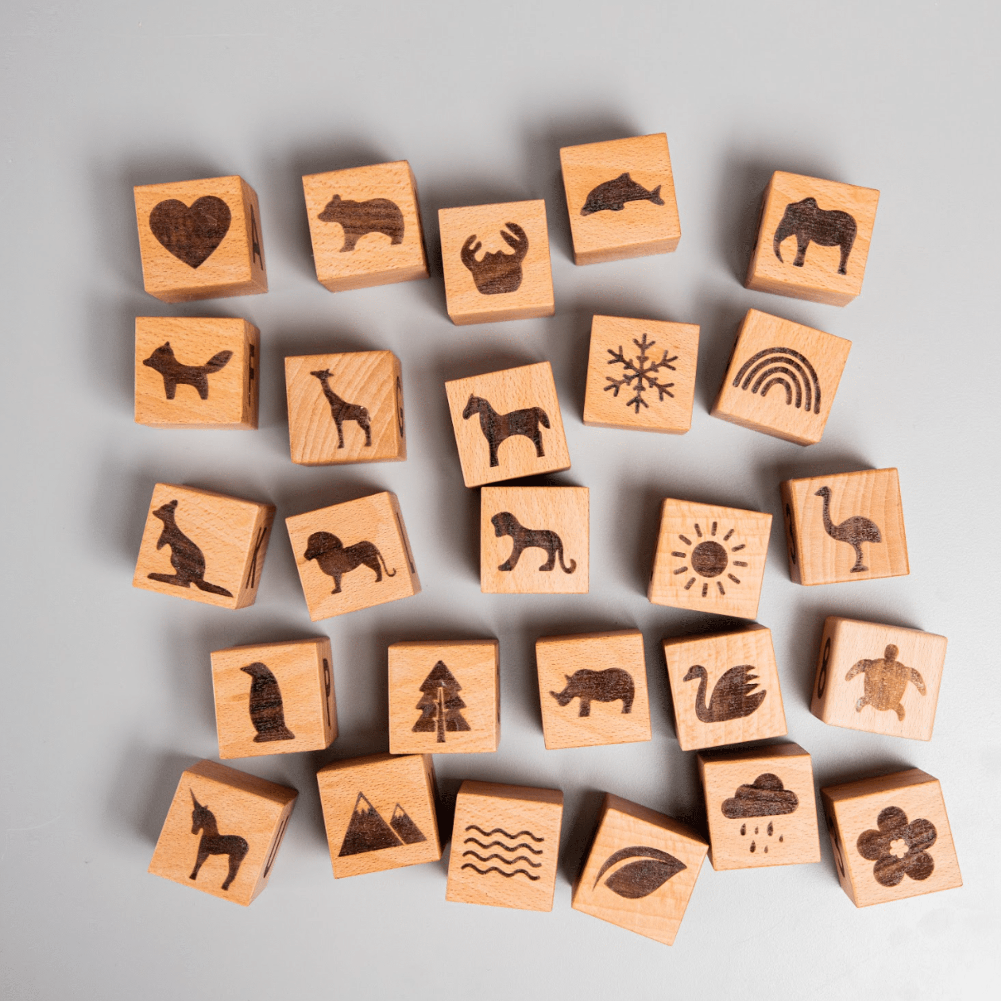 Birch & Bug Learning Blocks Set of 26 - BBAB2601