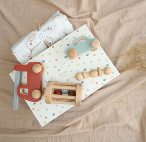 Birch & Bug Little Journeys Newborn Gift Box | The Mom Store - Wooden Toys