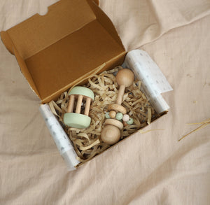 Birch & Bug Lullaby Set Sage - Baby Rattle Toy | The Mom Store - Wooden Toys