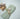 Birch & Bug Maracus Set of 2 - BBMR0201