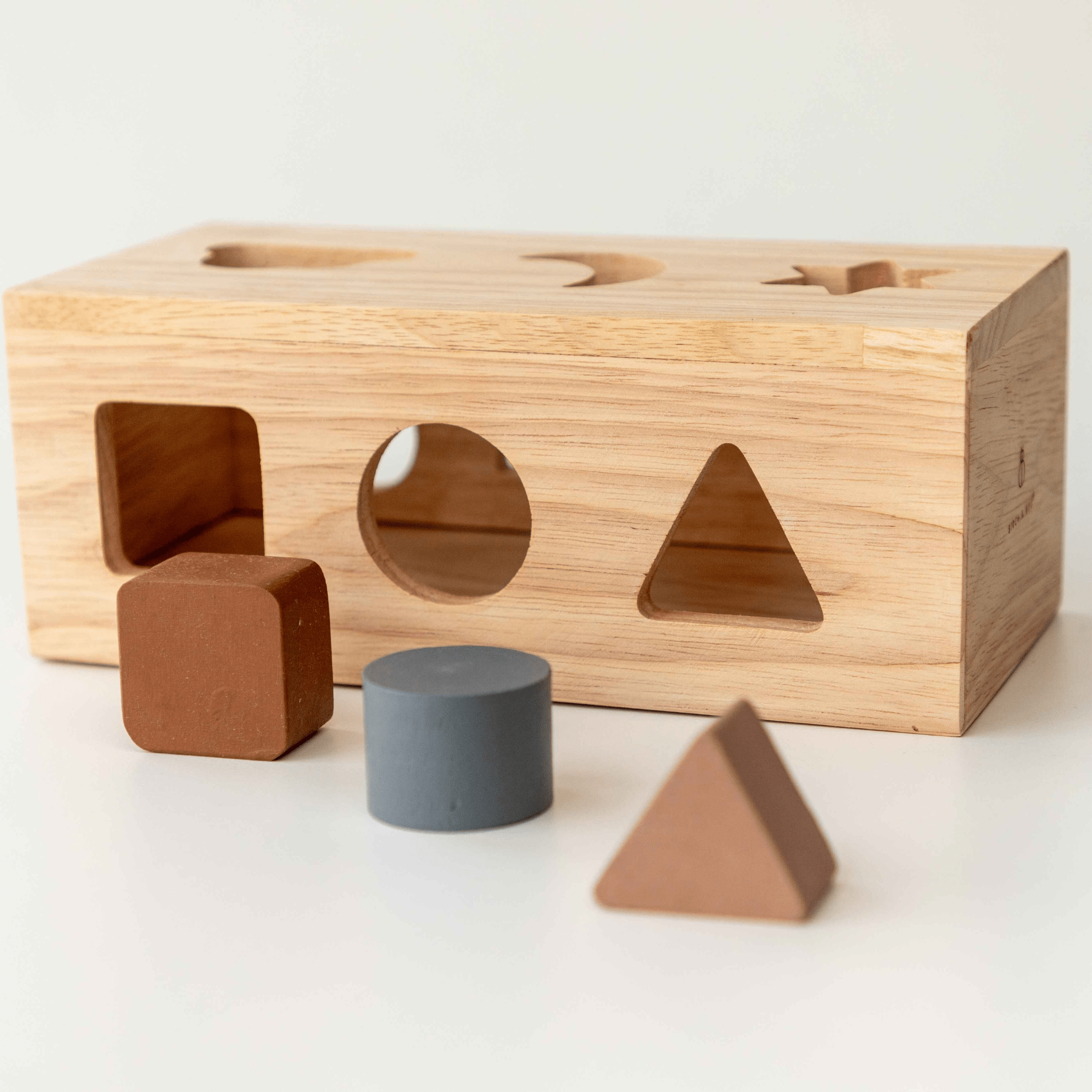 Birch & Bug Shape Puzzle Box - BBPB1001