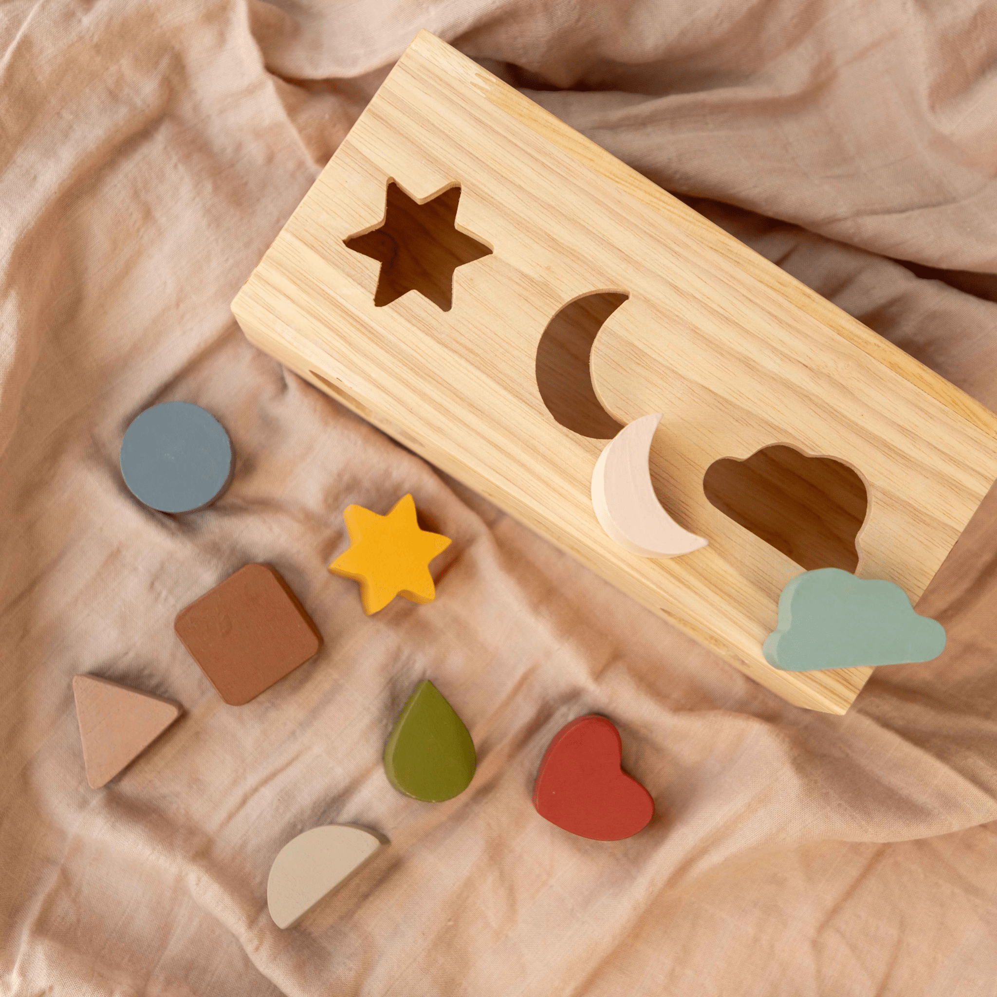 Birch & Bug Shape Puzzle Box - BBPB1001