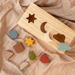 Birch & Bug Shape Puzzle Box - BBPB1001