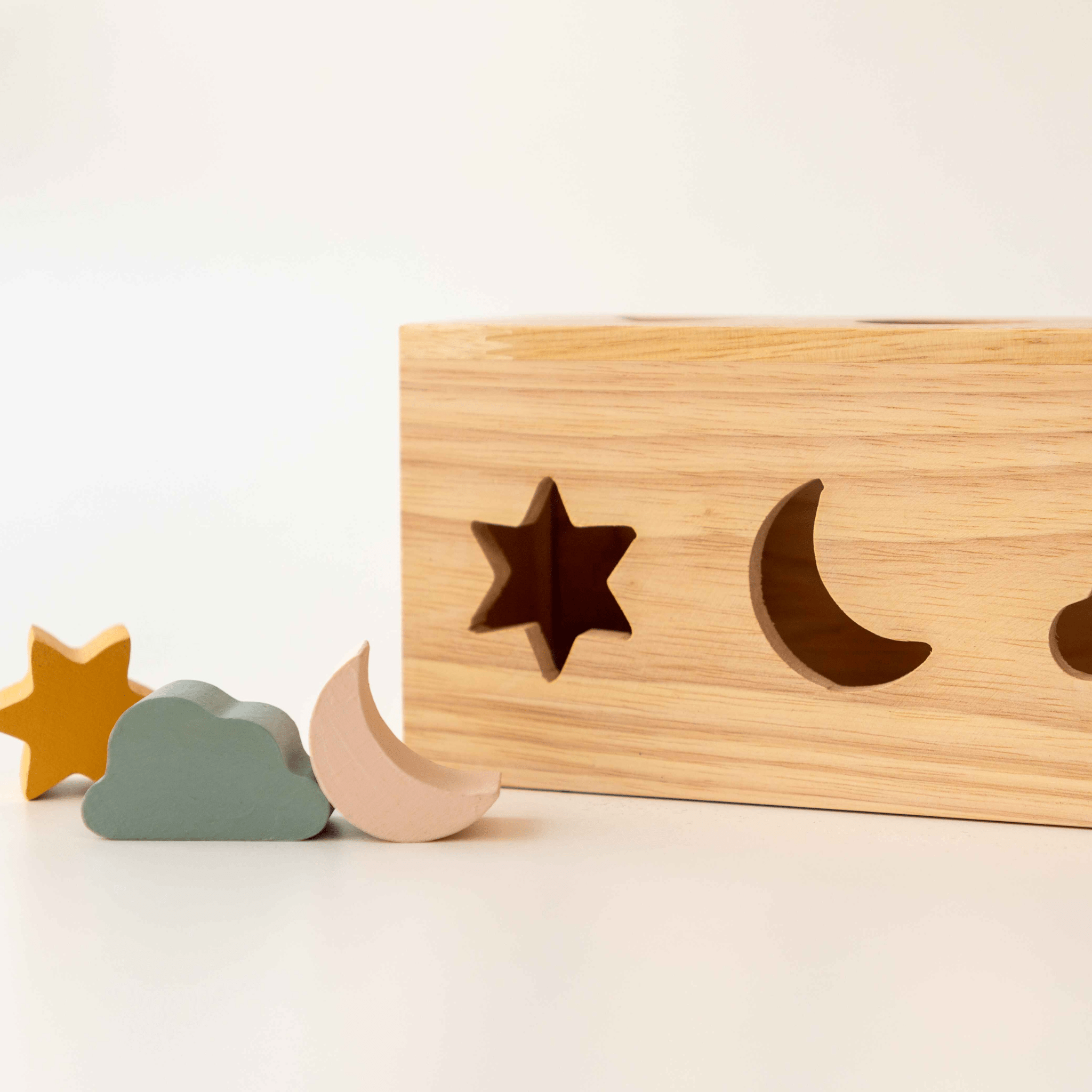 Birch & Bug Shape Puzzle Box - BBPB1001