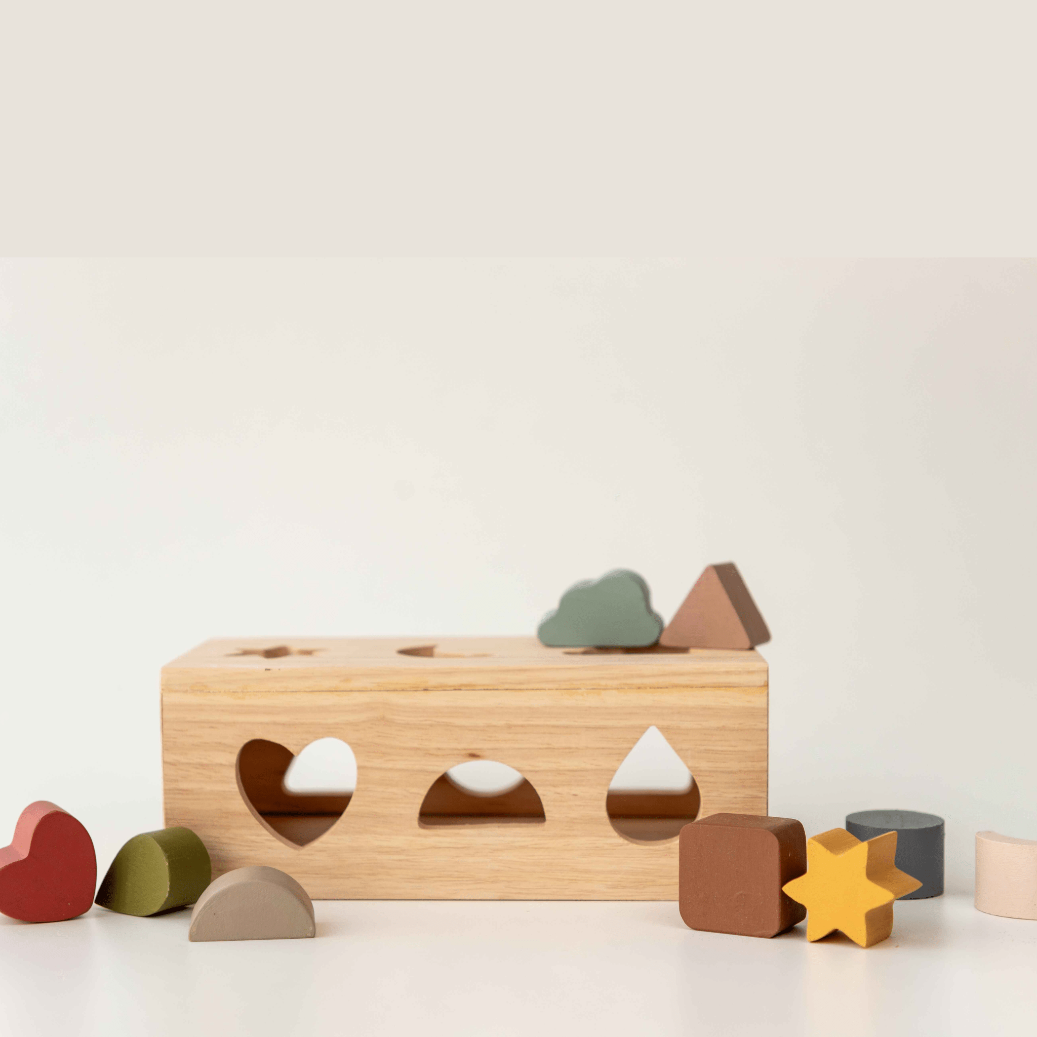 Birch & Bug Shape Puzzle Box - BBPB1001