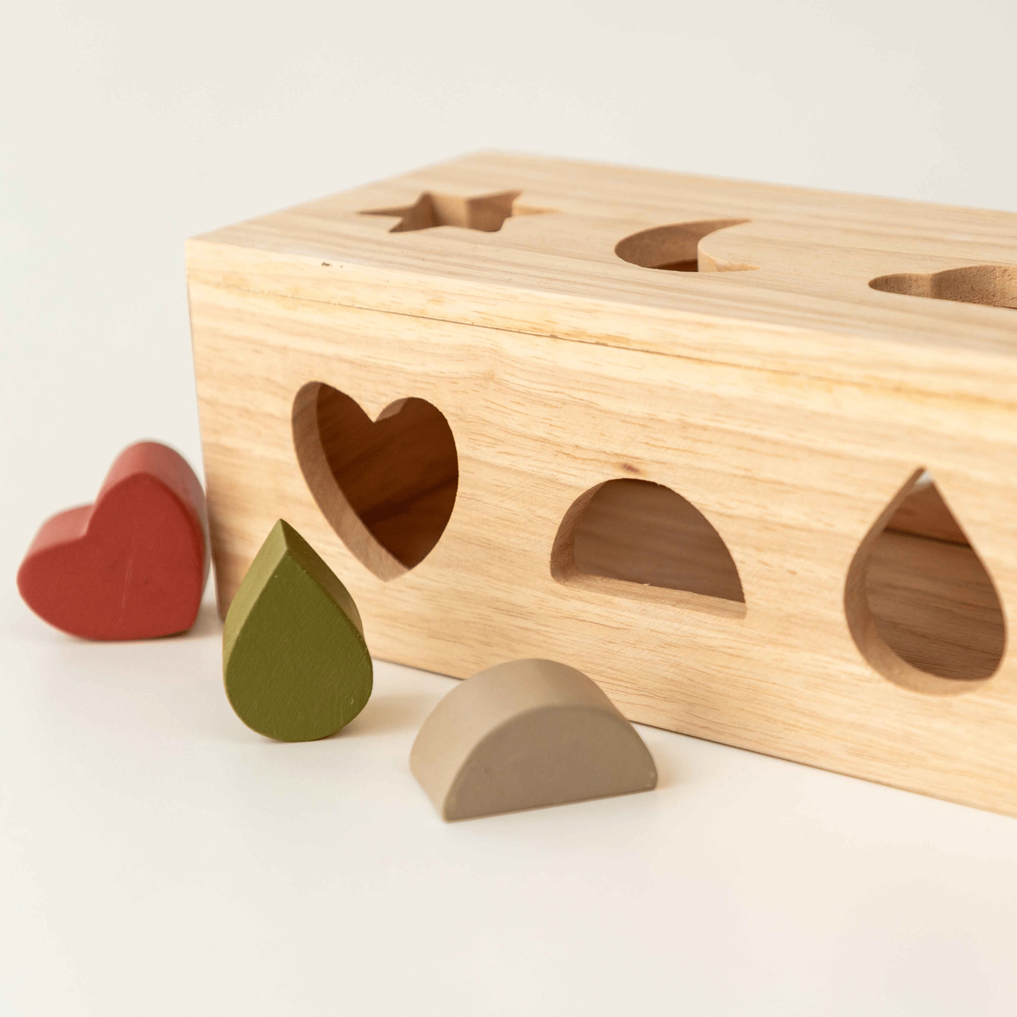 Birch & Bug Shape Puzzle Box - BBPB1001