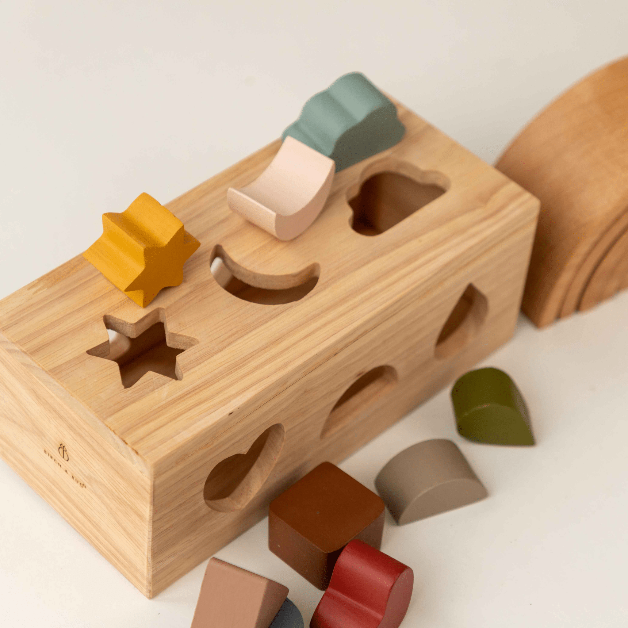Birch & Bug Shape Puzzle Box - BBPB1001