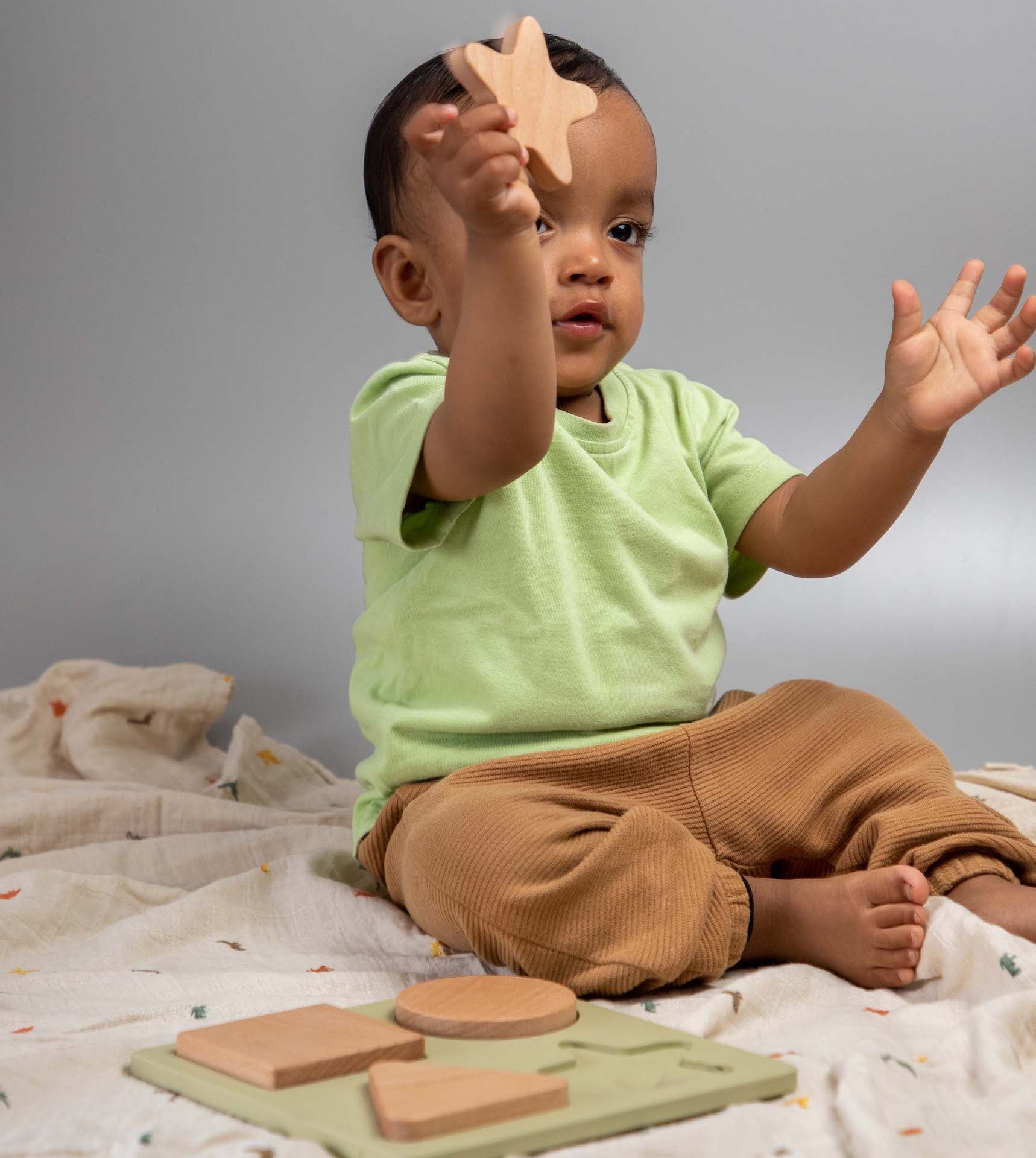 Birch & Bug Shape Puzzle Set of 4 - Wooden Puzzles