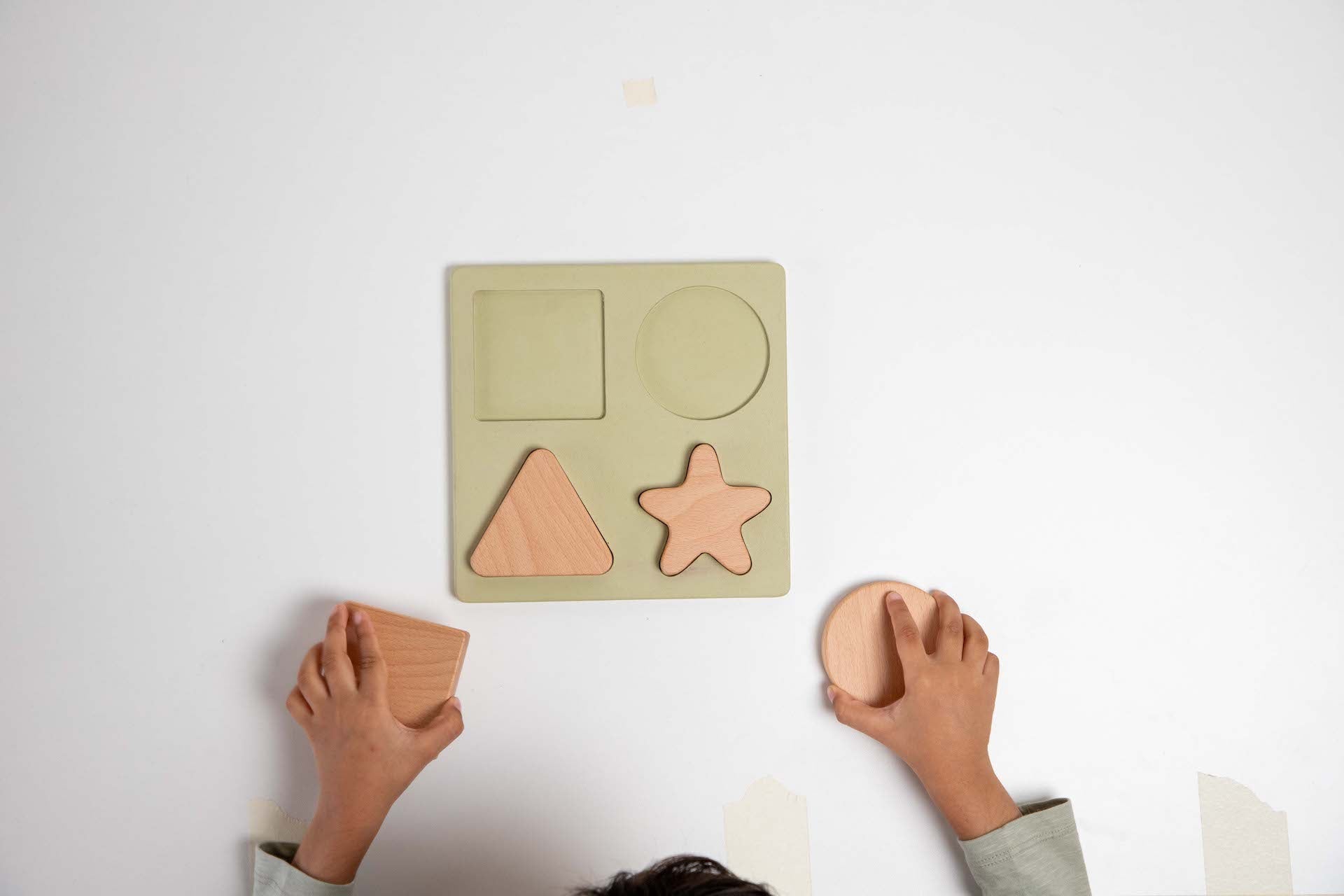 Birch & Bug Shape Puzzle Set of 4 - Wooden Puzzles