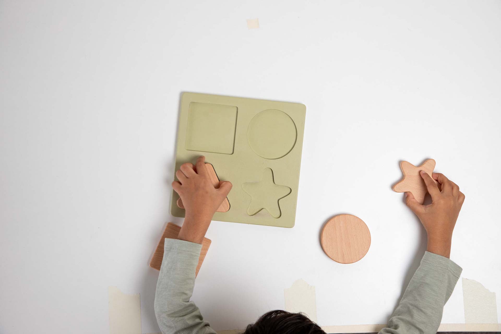 Birch & Bug Shape Puzzle Set of 4 - Wooden Puzzles