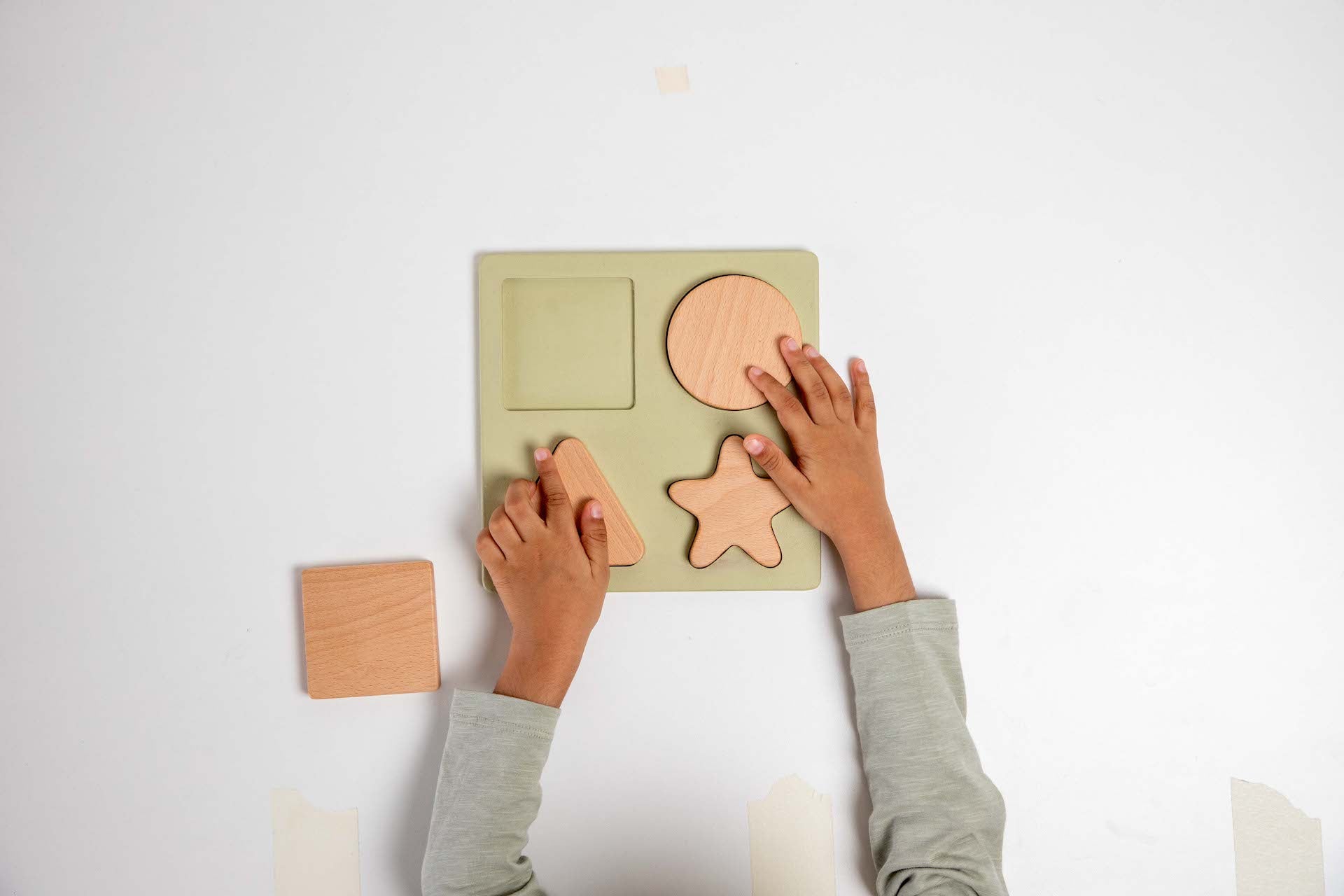 Birch & Bug Shape Puzzle Set of 4 - Wooden Puzzles