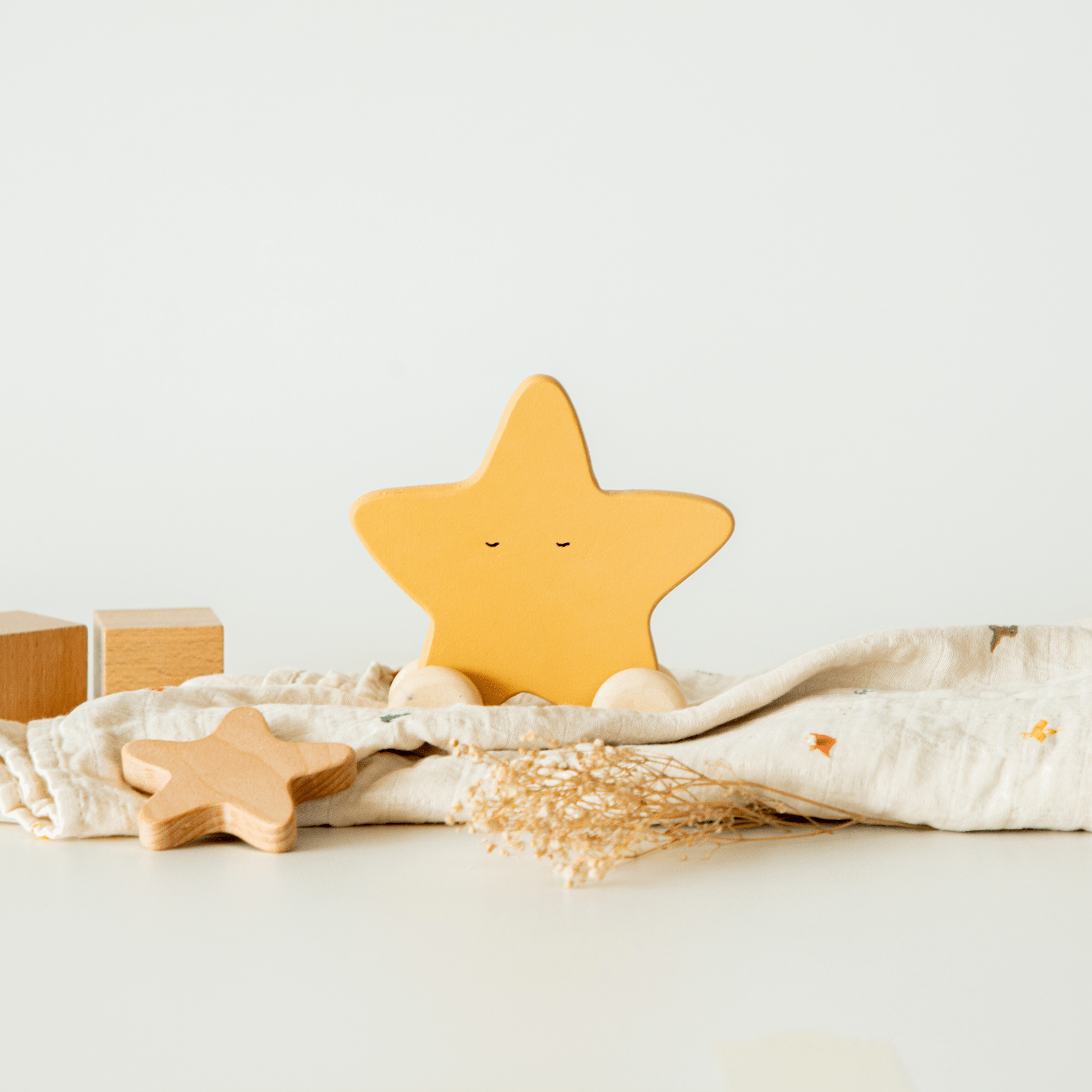 Birch & Bug Star Roller Toy - BBRT0101