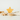 Birch & Bug Star Roller Toy - BBRT0101