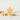 Birch & Bug Star Roller Toy - BBRT0101