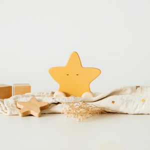 Birch & Bug Star Roller Toy - BBRT0101