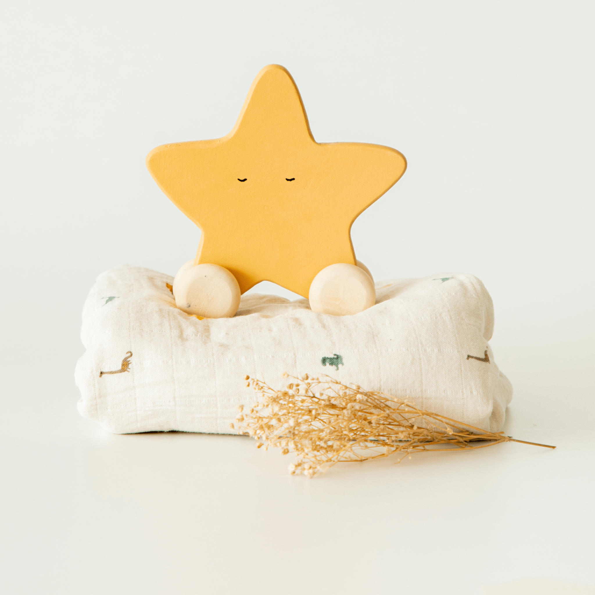 Birch & Bug Star Roller Toy - BBRT0101