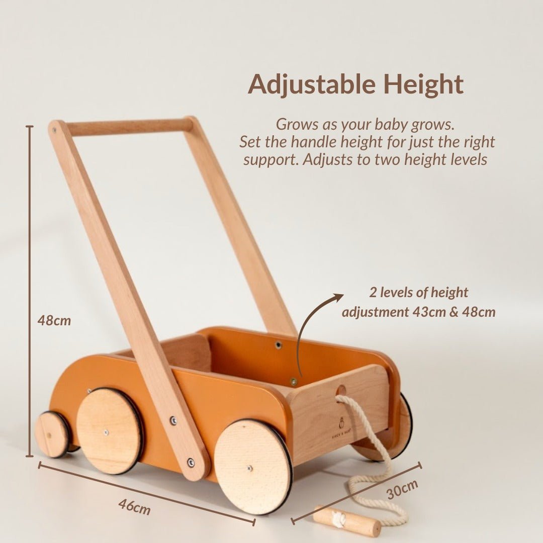 Birch & Bug SteadyStep Wooden Walker with Treasure Basket - Push & Pull Toys