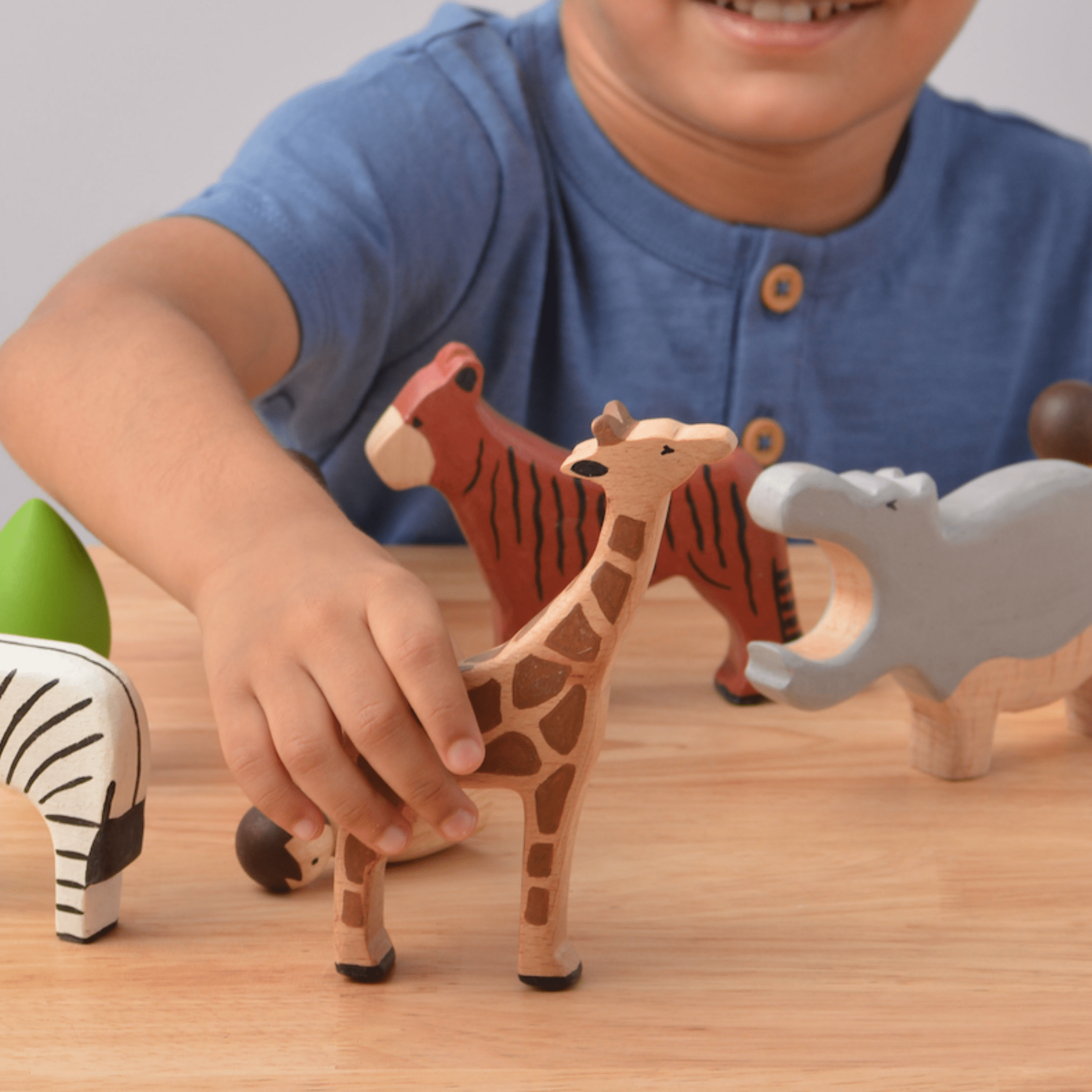 Birch & Bug Wild Animals Set of 12 - BBWA1201
