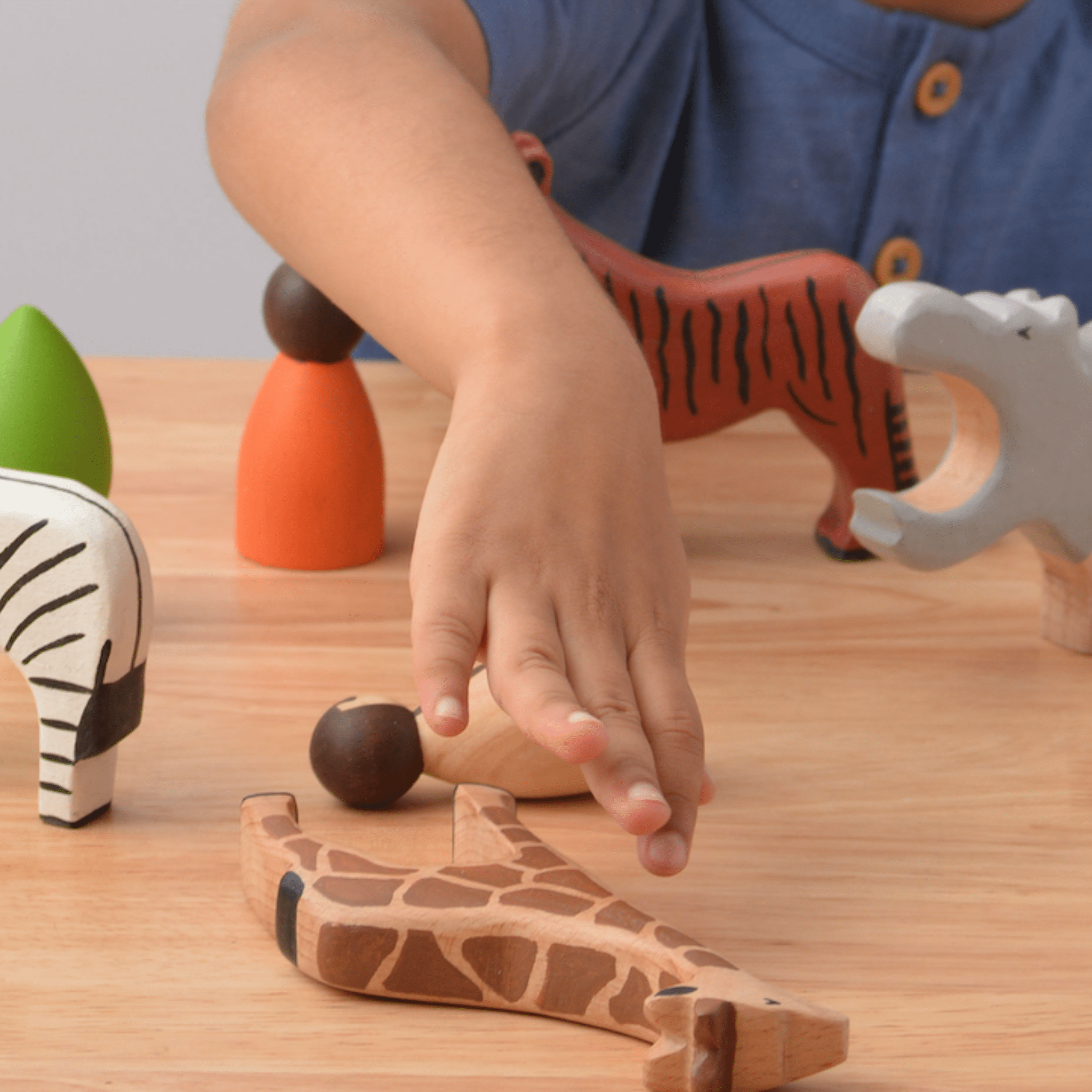 Birch & Bug Wild Animals Set of 6 Combo 1 - BBWA0601