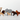 Birch & Bug Wild Animals Set of 6 Combo 1 - BBWA0601