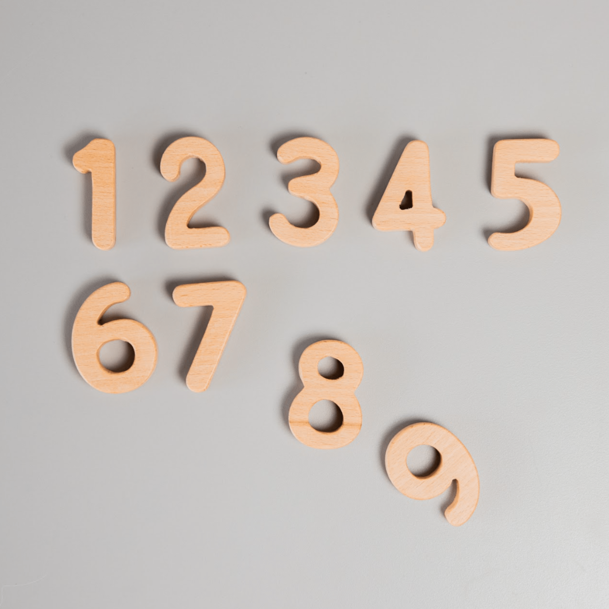 Birch & Bug Wooden Numbers - BBNM1001