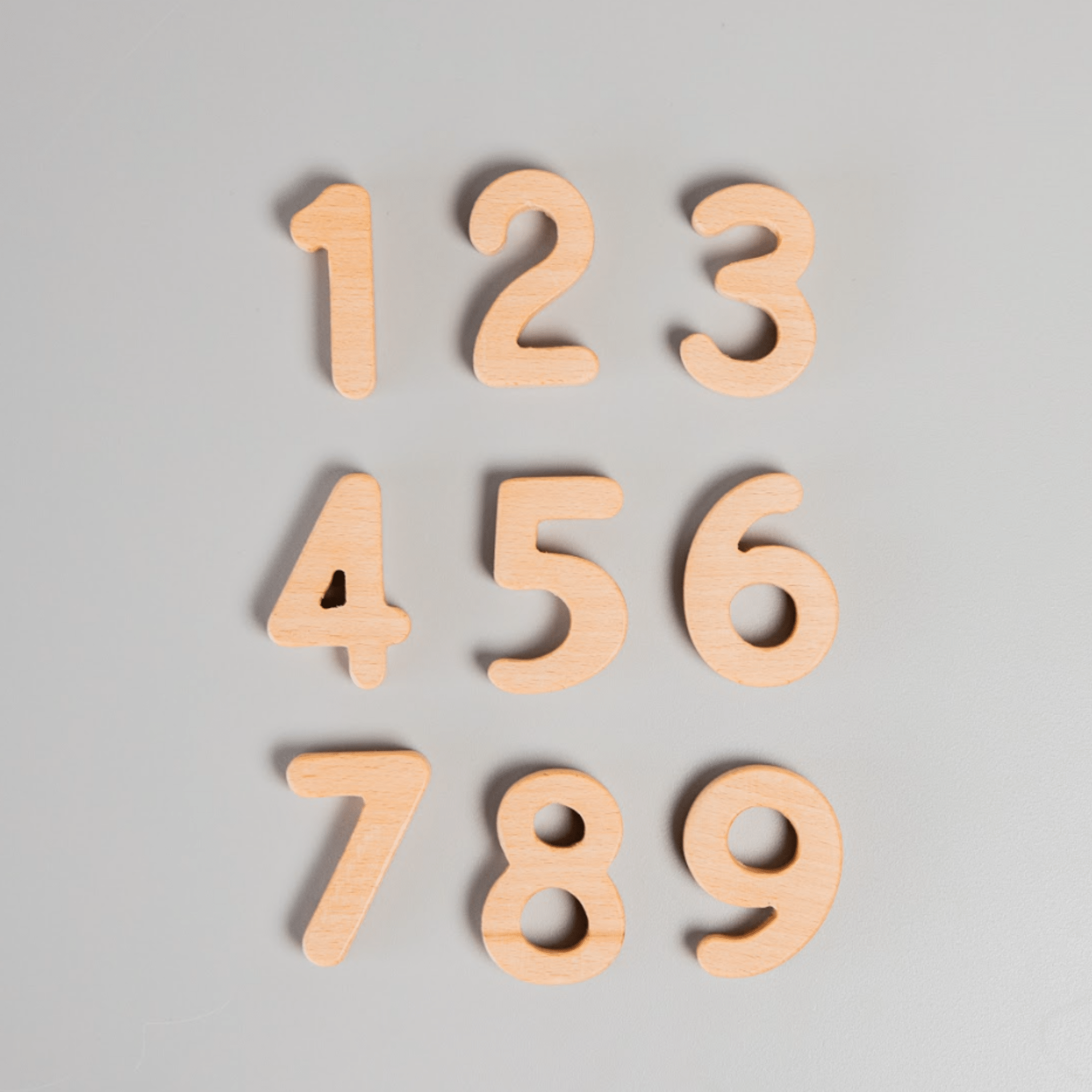 Birch & Bug Wooden Numbers - BBNM1001