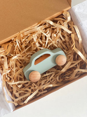 Birch & Bug Zoomie Car - Duck egg Blue - Wooden Animal