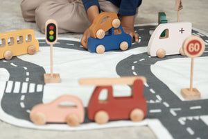 Birch & Bug Zoomie Car - Duck egg Blue - Wooden Animal