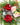 Blessed theme Artificial Christmas Wreath for Wall,Door and Tree Decor - Wreaths, Garlands & Mini Trees
