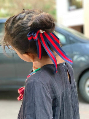Blue and Red Stripes Two in One Hair Clip and Broach - 